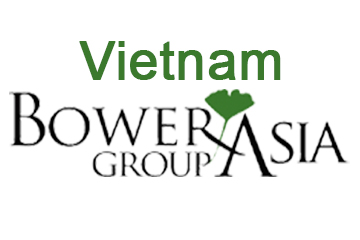 india-vietnam-business-and-cultural-council-activity-bower-group-asia