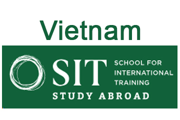 india-vietnam-business-and-cultural-council-activity-studya-broad