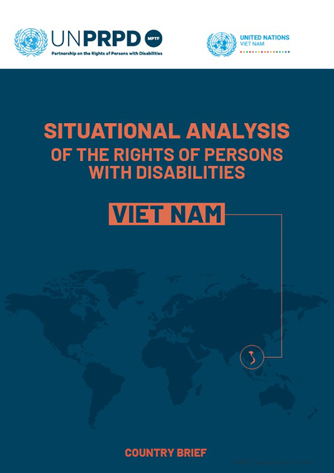 reports-and-publications-in-vietnam-situation_analysis_country-brief_vietnam