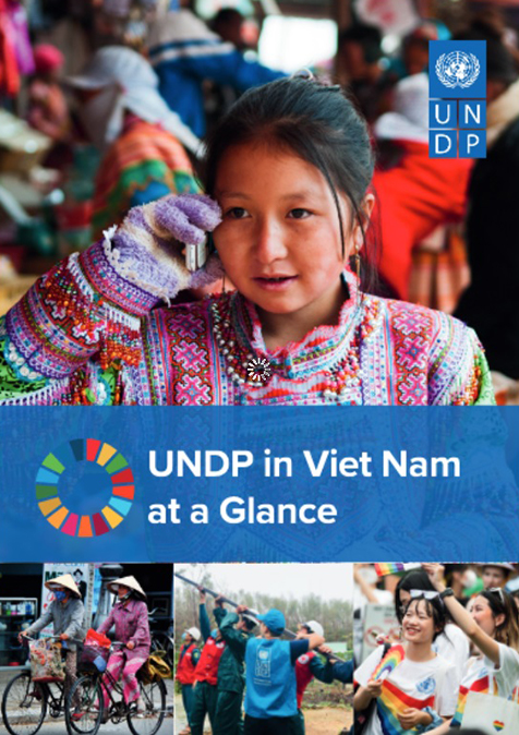 reports-and-publications-in-vietnam-undp-in-vietnam